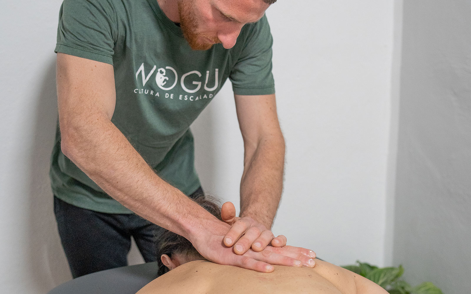 Servicios. Mario Tirloni.